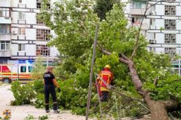 Дерево упало на детскую площадку