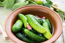 Малосольные огурцы быстро и вкусно: пошаговый рецепт