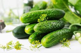 Вкусные малосольные огурцы за одну ночь: пошаговый рецепт