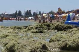 Море в Одессе превратилось в болото