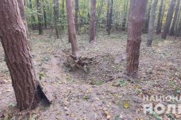 В Черновицкой области в лесу мужчина подорвался на старом снаряде