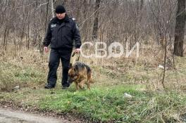 В Кривом Роге возле училища обнаружили человеческие останки