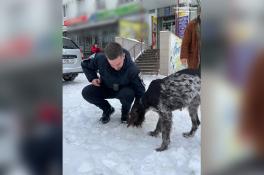 Патрульные Днепра спасли от гибели бродячую собаку