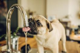 Отключение воды