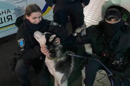 Патрульные Днепра вернули домой потерянного хаски