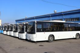 Автобуси