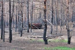 війна