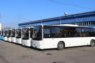 Автобусы