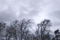 Вітер