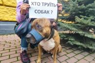 о
