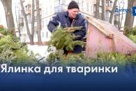 о