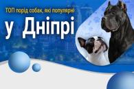 Дніпро