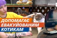 л