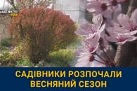 о