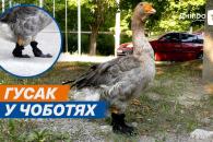 о