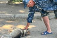 о